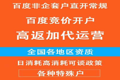 顶级SEM运营公司案例分析